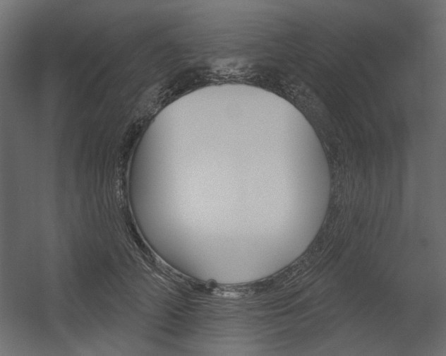 X0000054360706200507290805