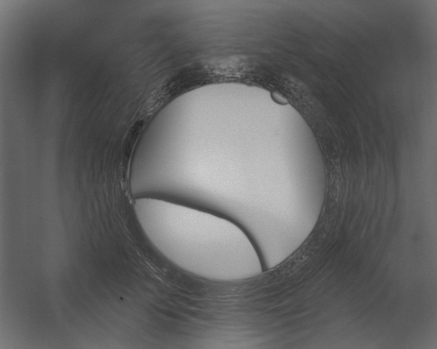 X0000054360707200507290805
