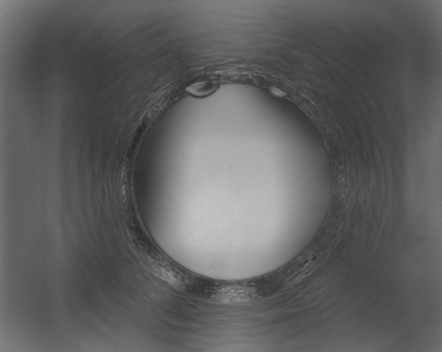 X0000054360708200507290805