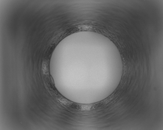 X0000054360709200507290805