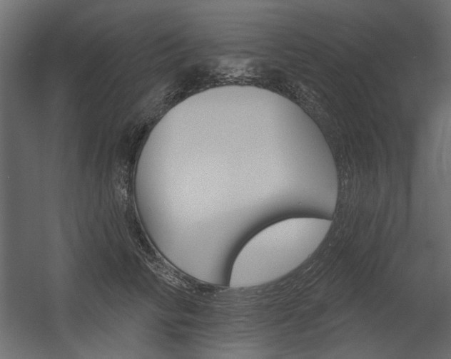 X0000054360710200507290805