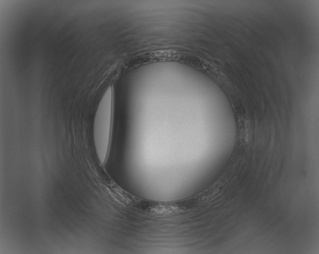 X0000054360712200507290805
