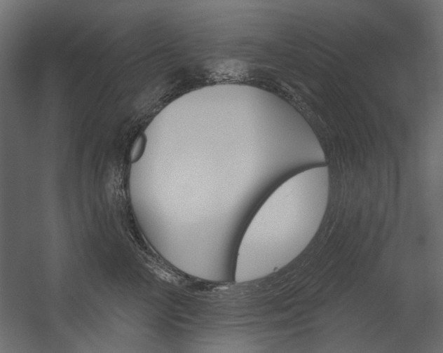 X0000054360714200507290805