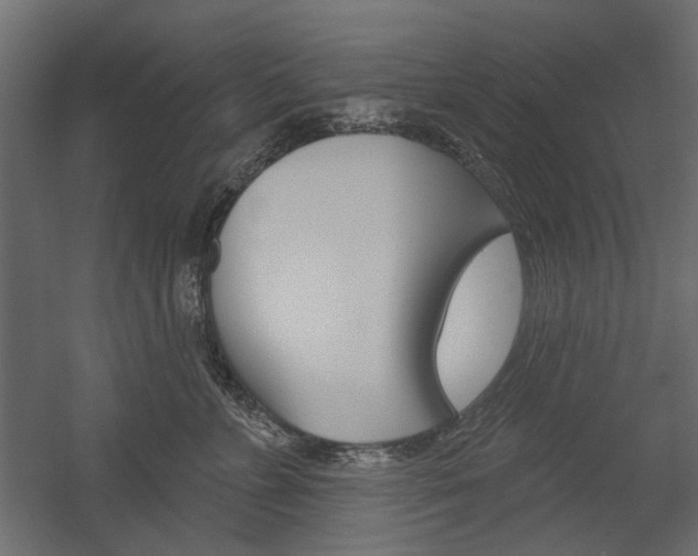 X0000054360715200507290805