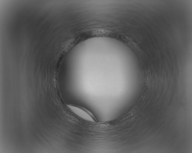 X0000054360716200507290805