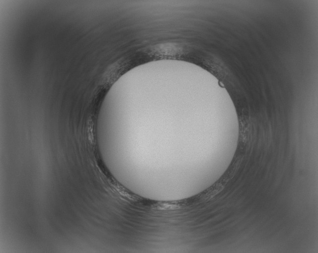 X0000054360718200507290805