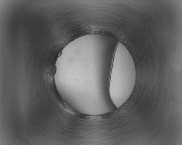 X0000054360719200507290805