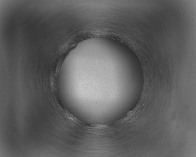 X0000054360720200507290805