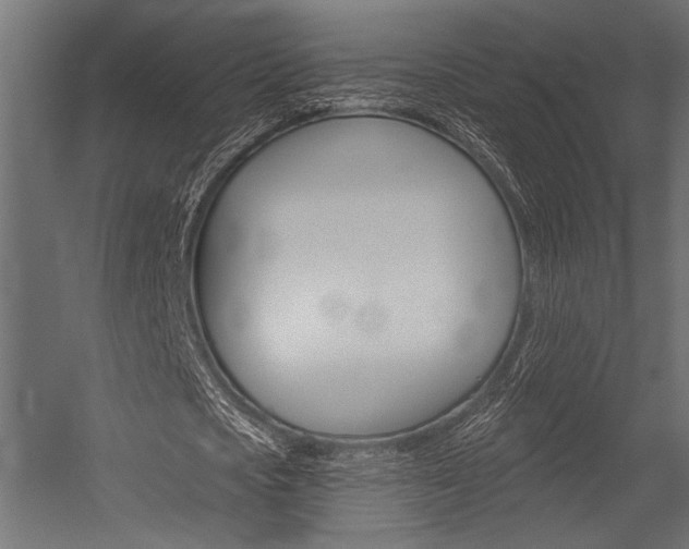 X0000054360721200507290804