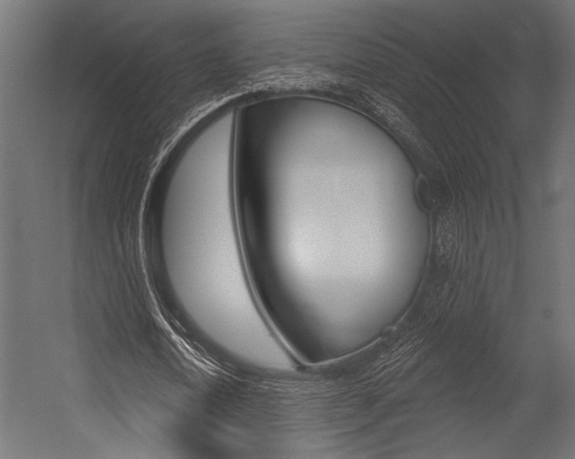 X0000054360722200507290804