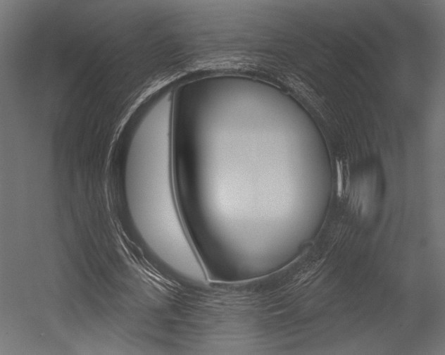 X0000054360723200507290804