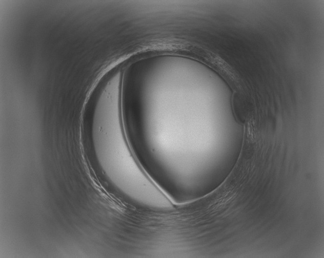 X0000054360724200507290804