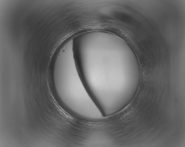 X0000054360725200507290804