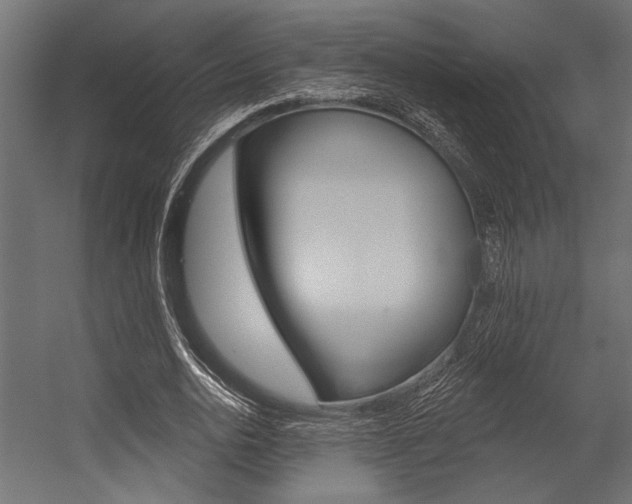 X0000054360726200507290804