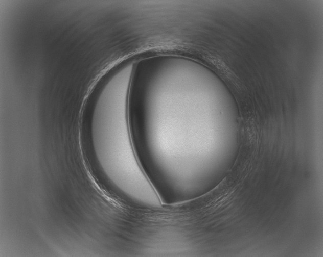 X0000054360728200507290804