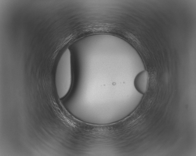 X0000054360729200507290804