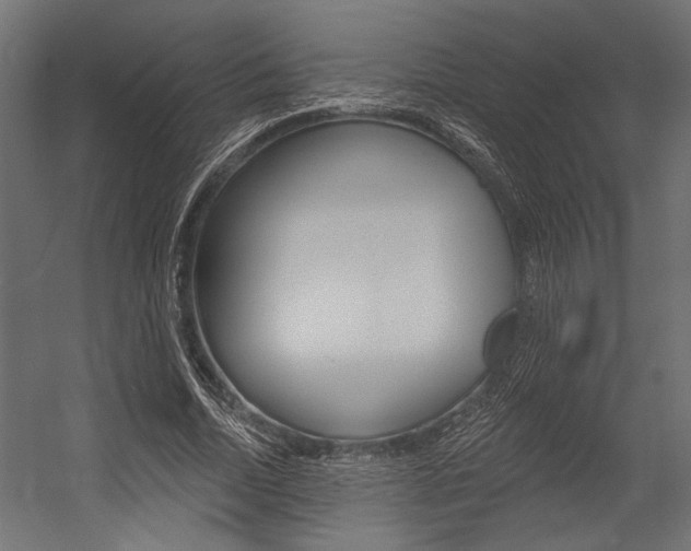X0000054360730200507290804