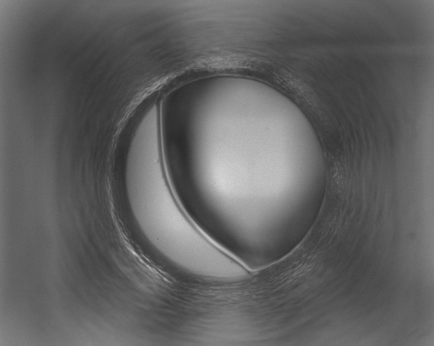 X0000054360732200507290804