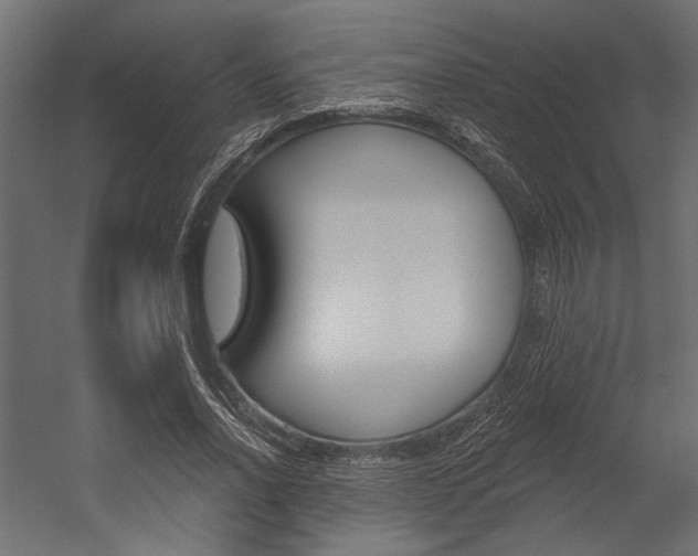 X0000054360734200507290804