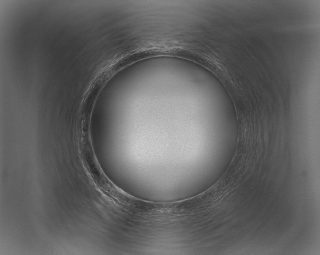 X0000054360736200507290804