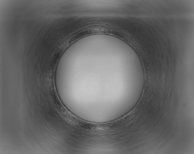 X0000054360737200507290804
