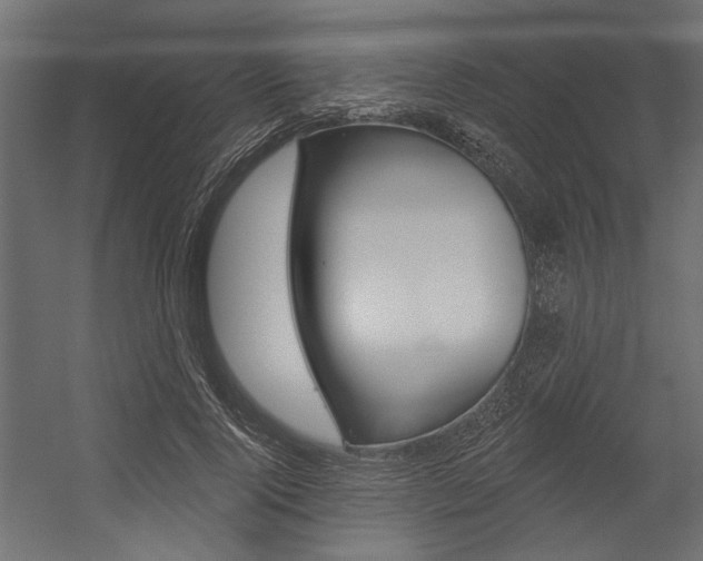 X0000054360740200507290804