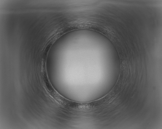 X0000054360744200507290804