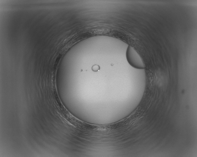 X0000054360745200507290804
