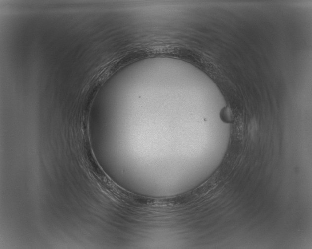 X0000054360746200507290804
