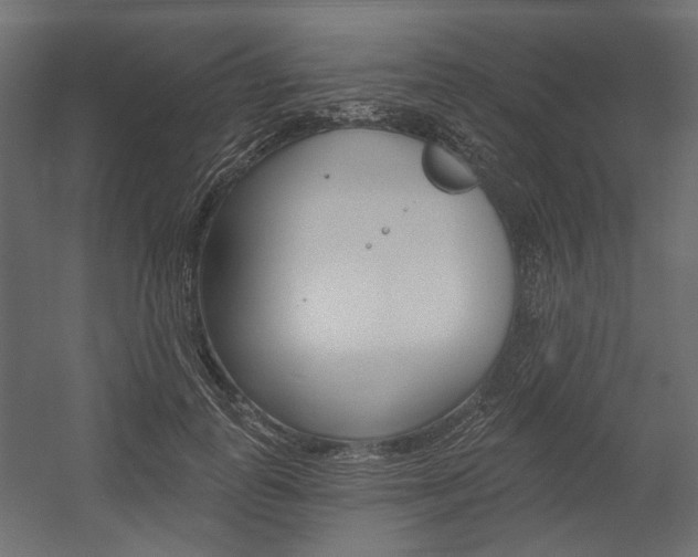 X0000054360747200507290804
