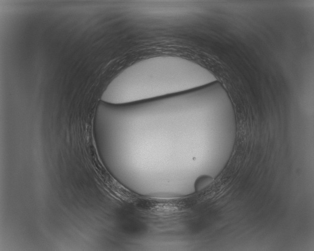 X0000054360749200507290804