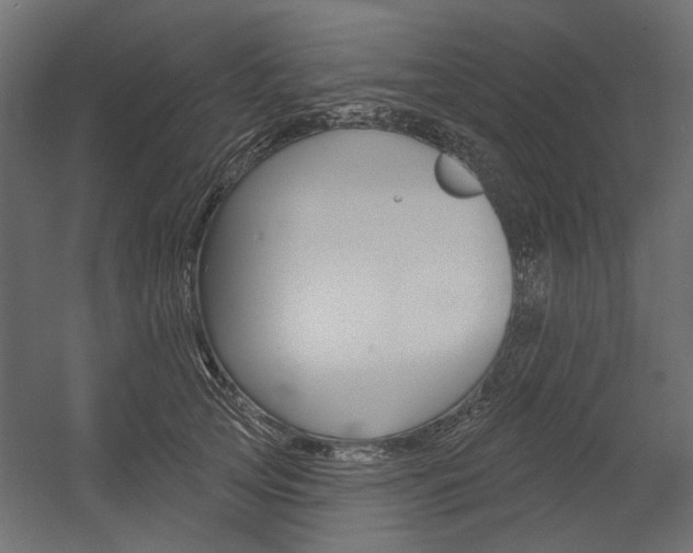 X0000054360753200507290804