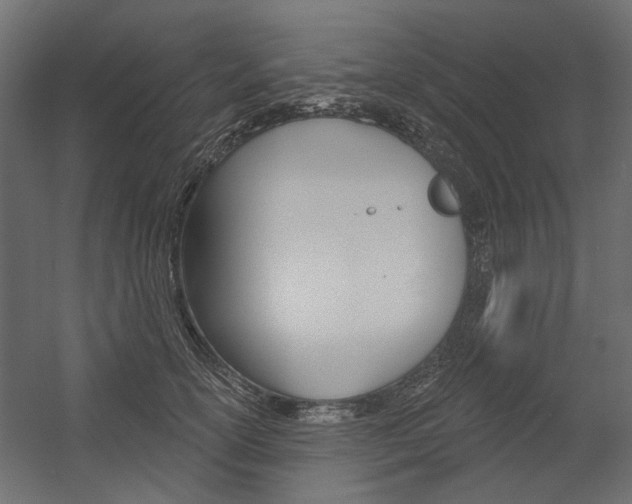 X0000054360754200507290804