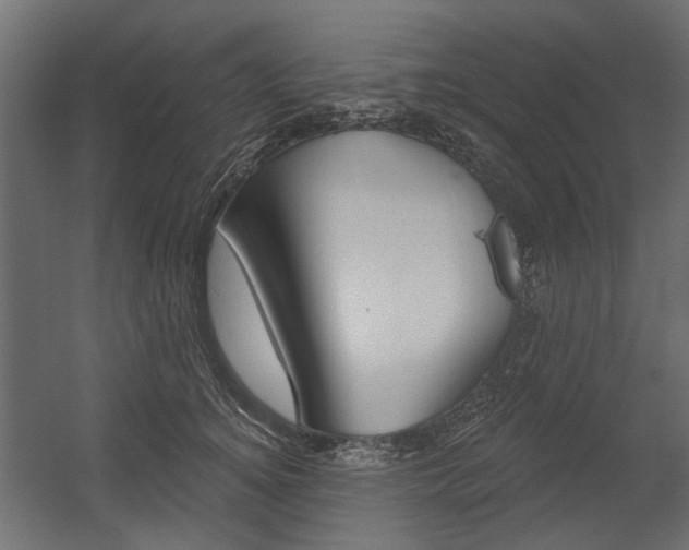 X0000054360756200507290804