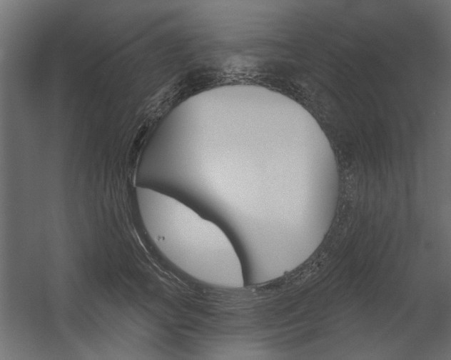 X0000054360757200507290804