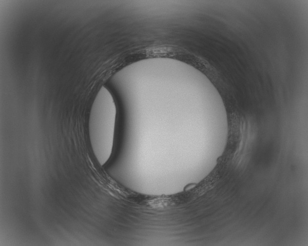 X0000054360761200507290805