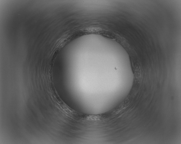 X0000054360762200507290805