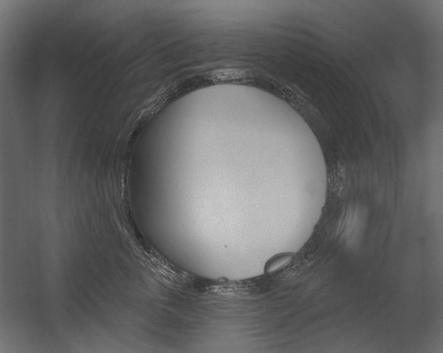 X0000054360763200507290805