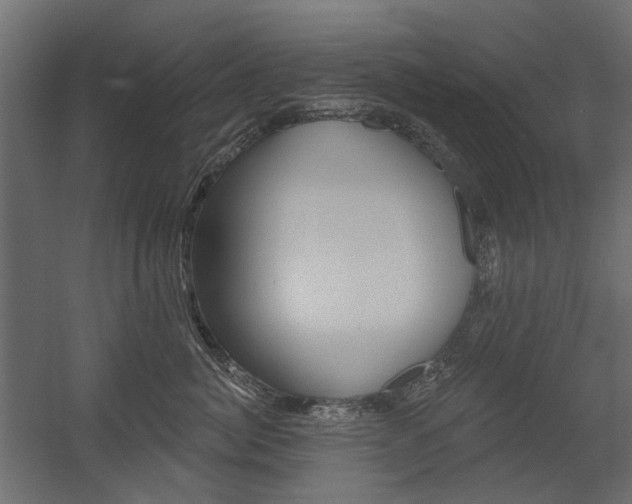 X0000054360764200507290805