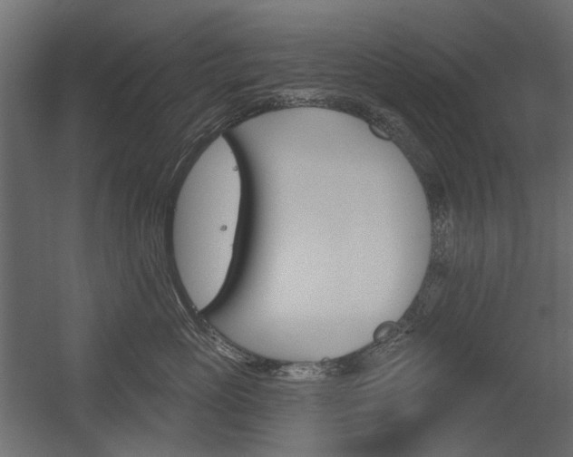 X0000054360765200507290805