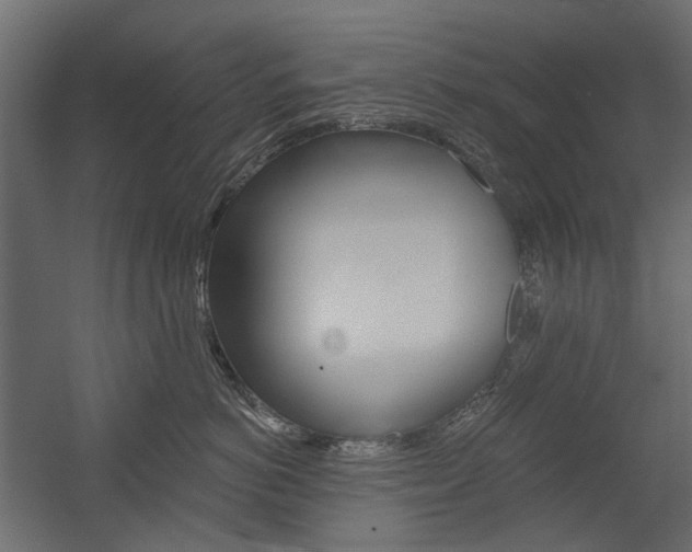 X0000054360766200507290805