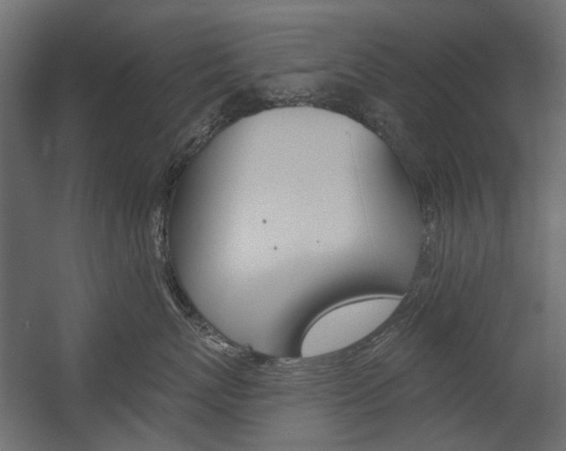 X0000054360767200507290805