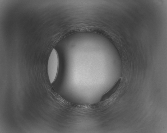 X0000054360768200507290805
