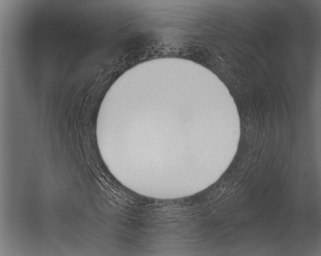 X0000054360769200507290804