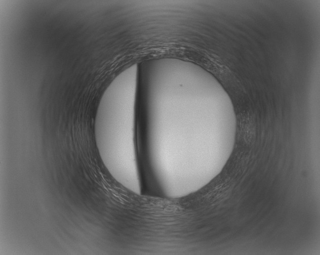 X0000054360770200507290804