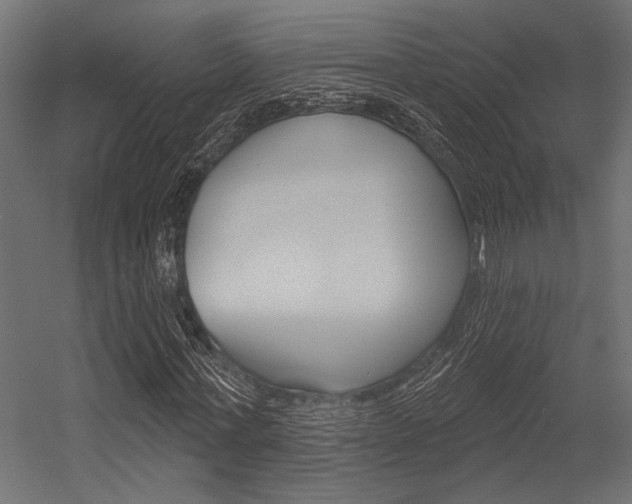 X0000054360771200507290804