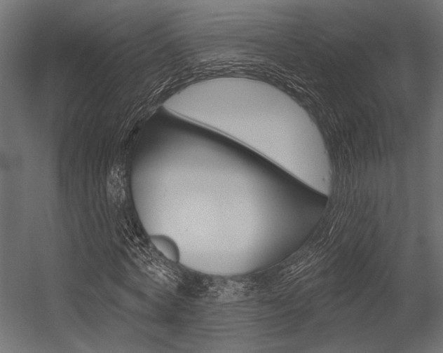 X0000054360772200507290804