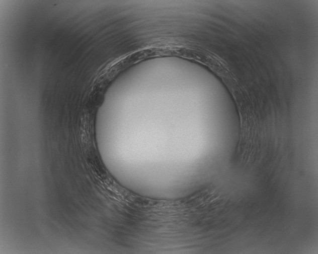 X0000054360773200507290804