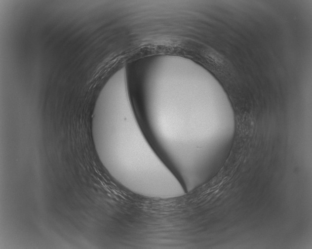 X0000054360774200507290804