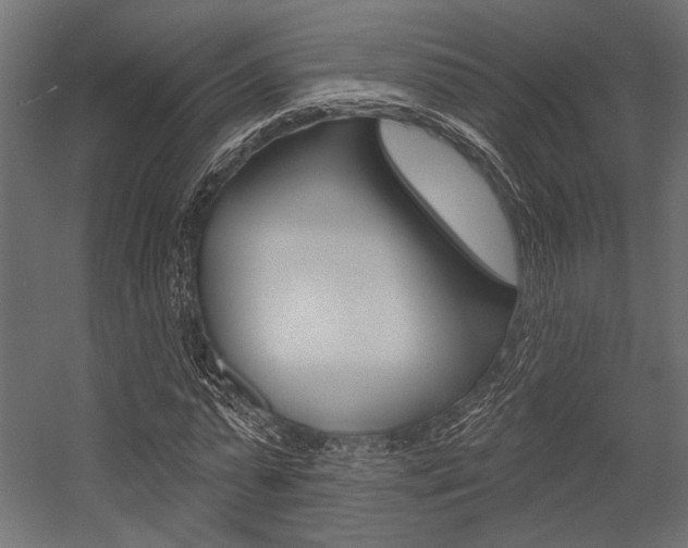 X0000054360775200507290804